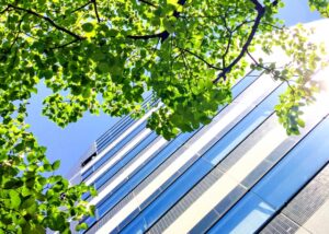 就活についての質問