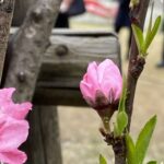 楽しみながら学べる体験型プログラム（土曜開所のご案内）