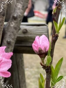 楽しみながら学べる体験型プログラム（土曜開所のご案内）