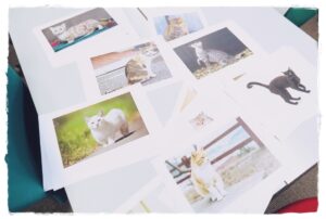 オフィス内のコミュトレ