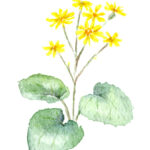 定着支援ご利用者へのお手紙（11月）