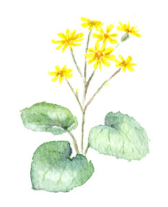 定着支援ご利用者へのお手紙（11月）