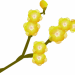 定着支援ご利用者へのお手紙（2026年1月）