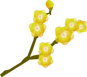 定着支援ご利用者へのお手紙（2026年1月）