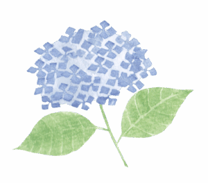 ６月の花の画像です