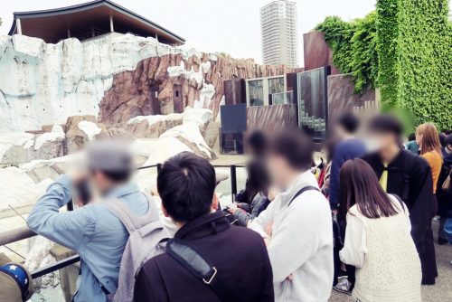 就労移行支援事業所ＨＯＰＥ神田 土曜開所（上野動物園）の写真１