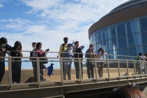 大洗水族館の観覧風景の写真