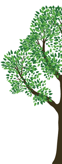 tree6 -2 tree6 -2