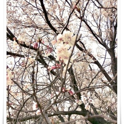 190328_1