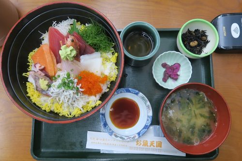 昼食でいただいた海鮮の写真です