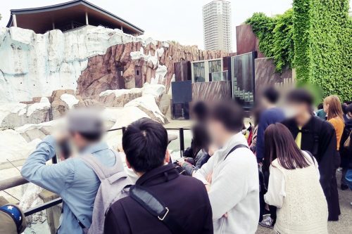 就労移行支援事業所ＨＯＰＥ神田 土曜開所（上野動物園）の写真１